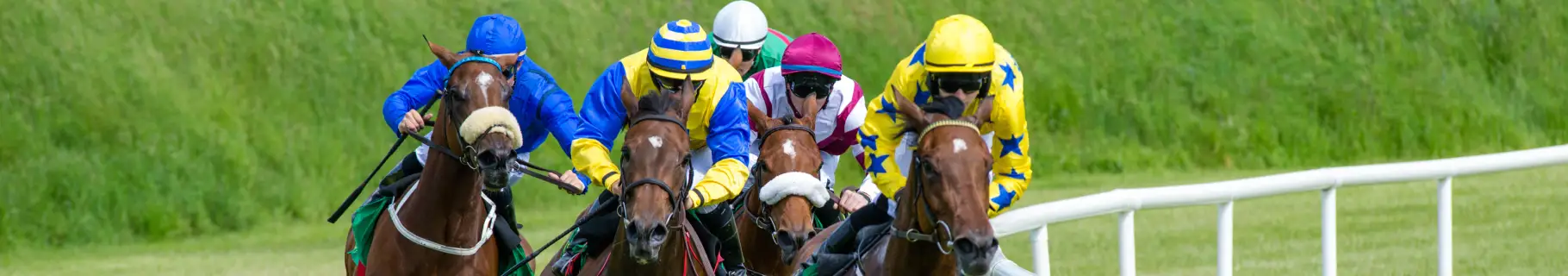 Different Types of Horse Racing Bets Explained 