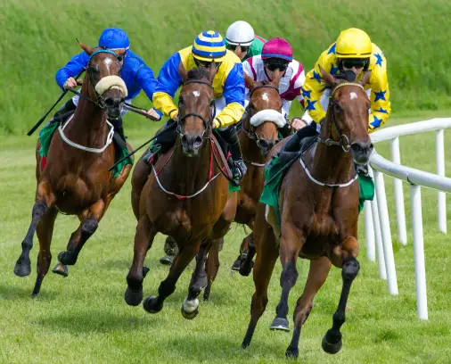 Different Types of Horse Racing Bets Explained