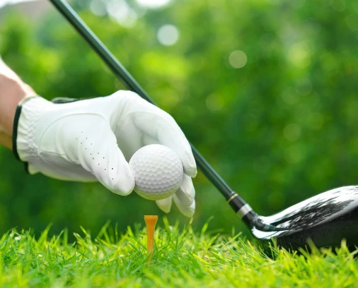 Nedbank golf challenge betting tips