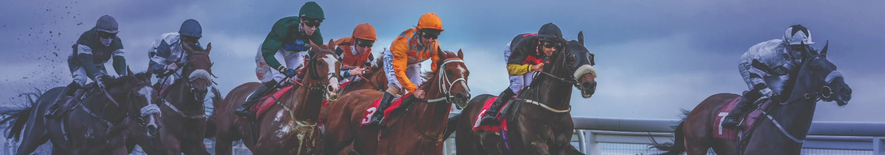 Sunbet guide to effective horse racing strategies for successful sports betting & maximising winning potential. 