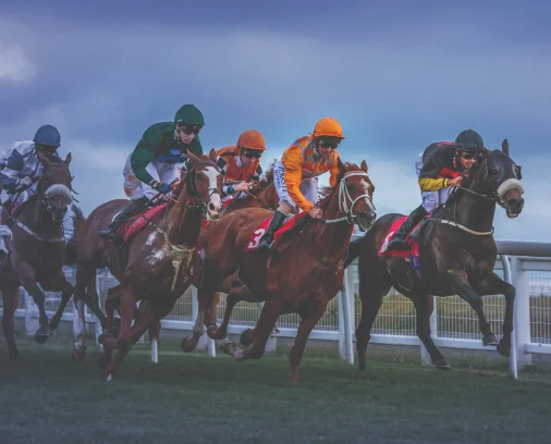 Sunbet guide to effective horse racing strategies for successful sports betting & maximising winning potential. 